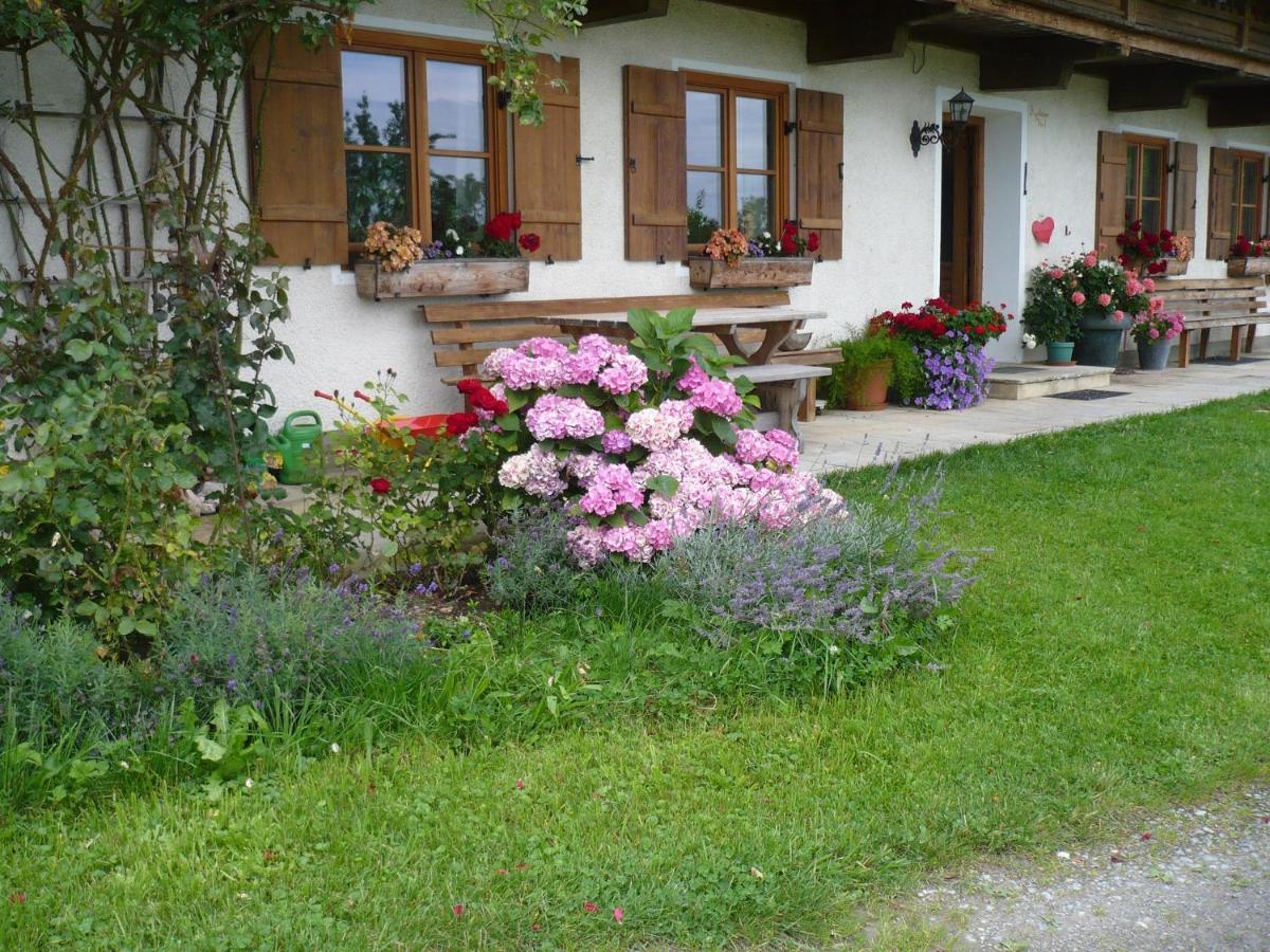 Appartamento Agelbauer Irschenberg Esterno foto