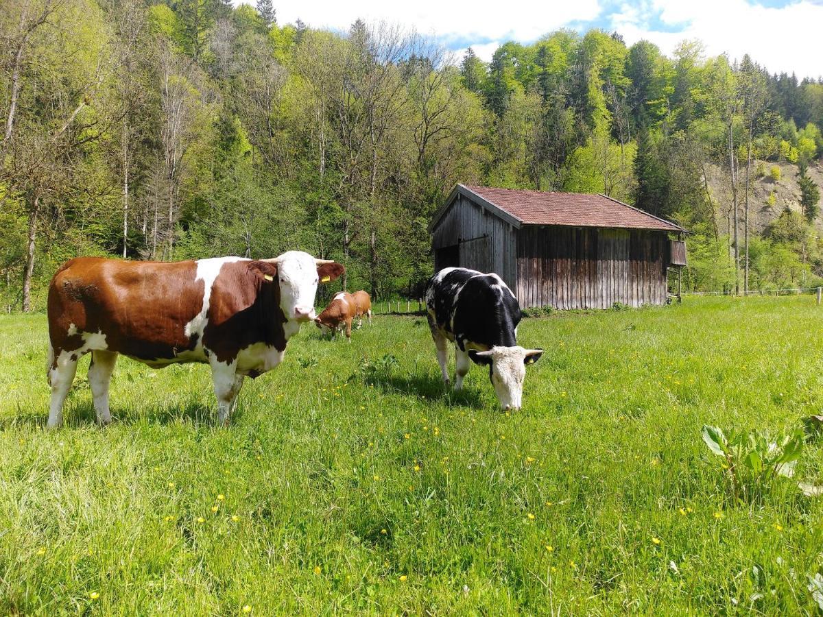 Appartamento Agelbauer Irschenberg Esterno foto