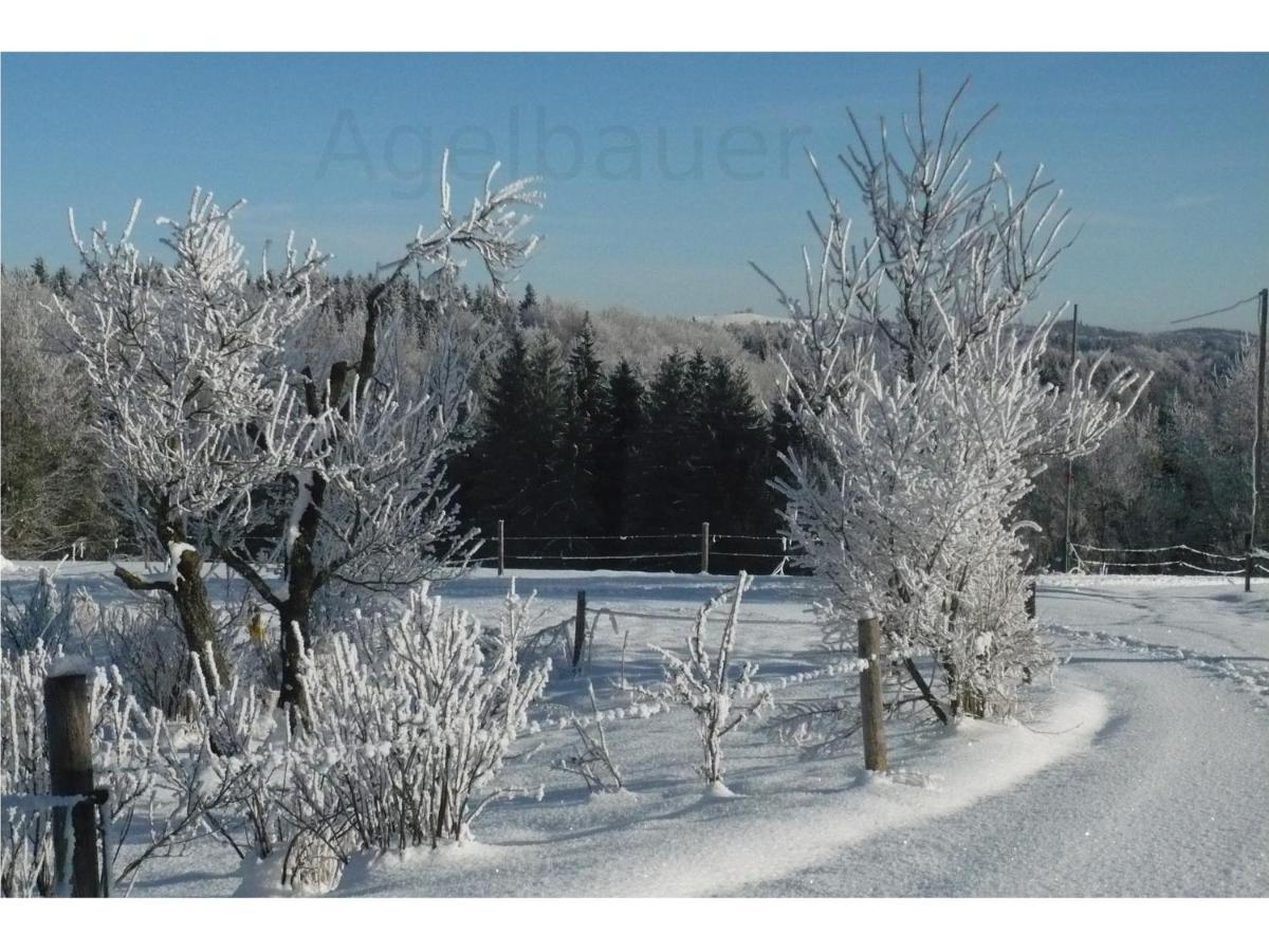 Appartamento Agelbauer Irschenberg Esterno foto